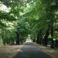 Ufficio in antica barchessa del 1700