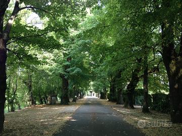 Ufficio in antica barchessa del 1700