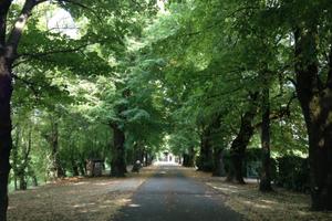 Ufficio in antica barchessa del 1700