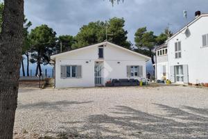 CASA INDIPENDENTE A CASTELLALTO