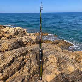 Canna da pesca Colmic Galaxy 4,20 m 180 g