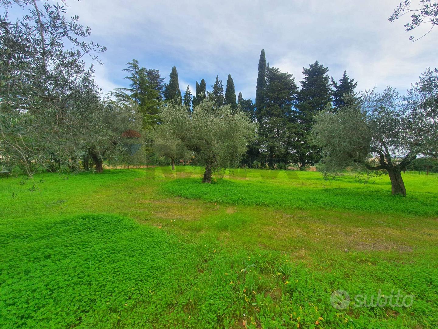 Terreno Edificabile - Caltagirone - View 2