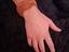 Immagine 5
