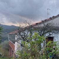 Casolare nel Cilento con 10000m² di terreno