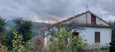 Casolare nel Cilento con 10000m² di terreno
