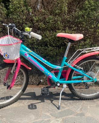 Bicicletta Lombardo Cremona 20’
