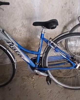 bici da passeggio