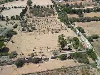 Tenuta sant'isidoro (cagliari) - Vista 5