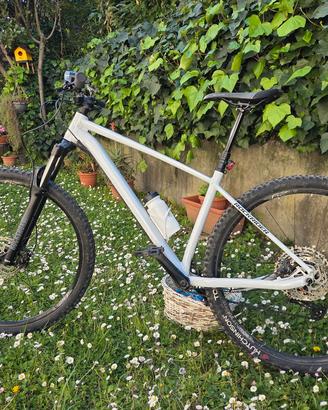 MTB Rockrider AM100 Hardtrail Taglia L