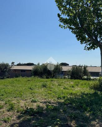 TERRENO A ALBANO LAZIALE