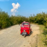 Ape 50(leggere descrizione)