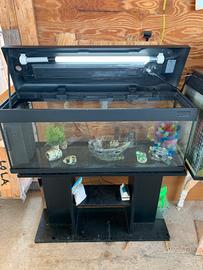 Aquario di 100L