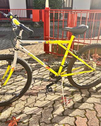 BICICLETTA UOMO