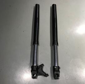 Forcelle WP (48 mm) - KTM 690 SM Supermotard