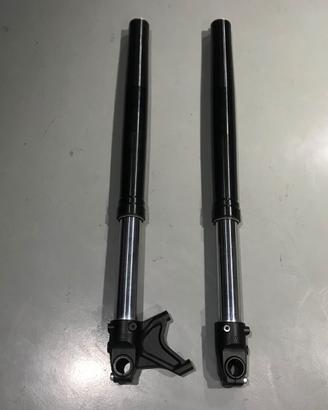 Forcelle WP (48 mm) - KTM 690 SM Supermotard