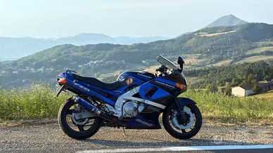 Kawasaki ZZR 600