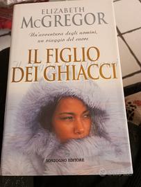 romanzo "Il figlio dei ghiacci"