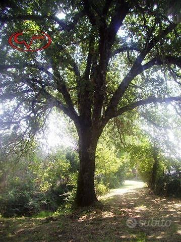 Terreno di 44 m² a Bucine - Vista 5