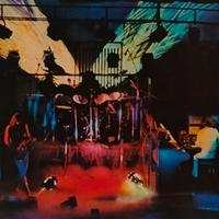 Le Orme. In Concerto. Vinile. 1974