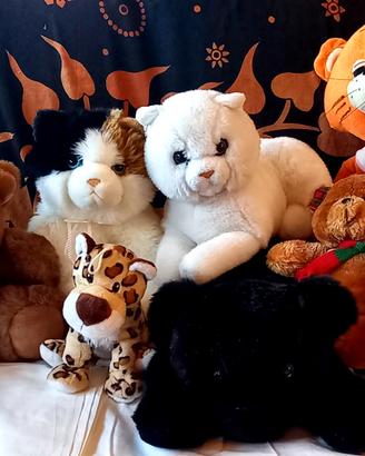 Lotto peluches: gatti, orsetti, ecc