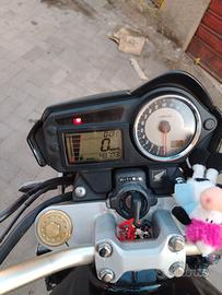 honda hornet