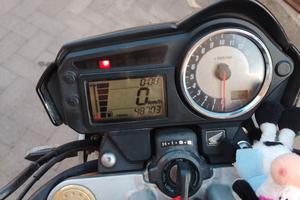 honda hornet