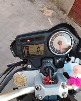 honda hornet