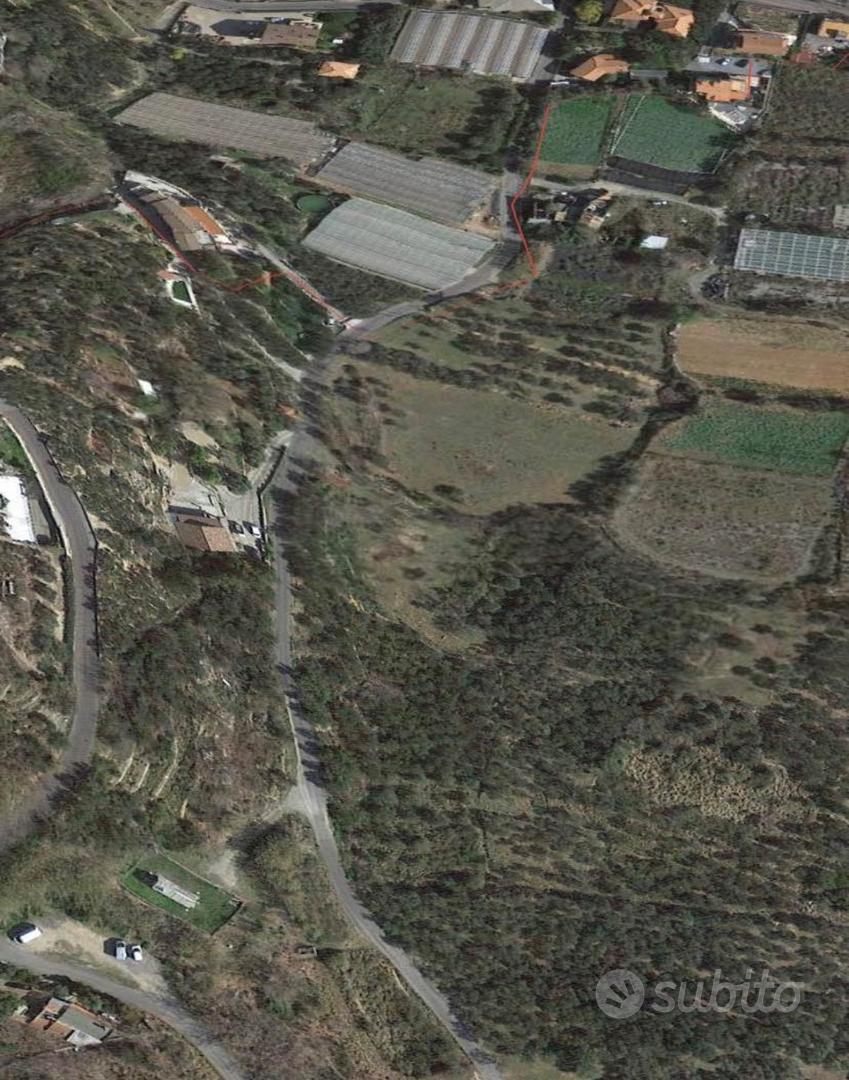 Terreno agricolo - Uliveto - Vista 2