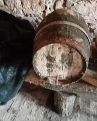 caratello in legno rovere