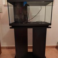 Acquario 60L