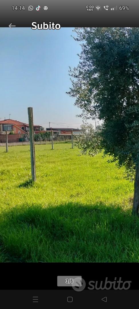 3 lotti terreno 1200+1200+16.luno - Vista 4