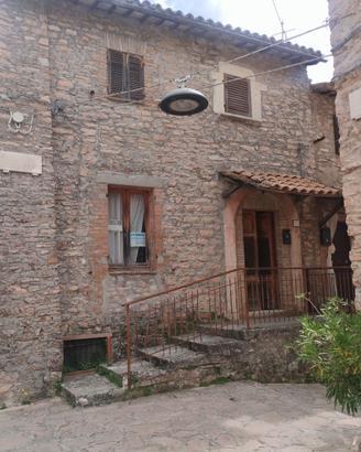 MACERINO RIF B 873