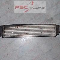 Intercooler 17512246795 BMW 320d (E46)