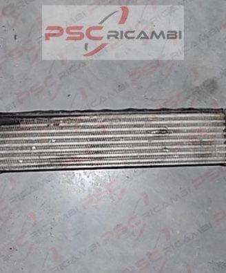 Intercooler 17512246795 BMW 320d (E46)