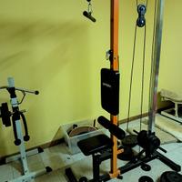 Ercolina multipower palestra