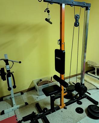 Ercolina multipower palestra