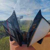 Carene Racing in fibra di carbonio r6 2006/16