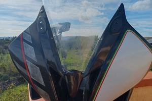 Carene Racing in fibra di carbonio r6 2006/16