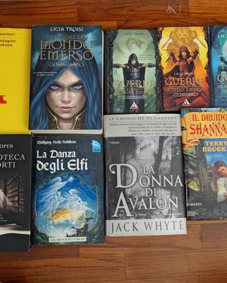Lotto libri Fantasy e vari