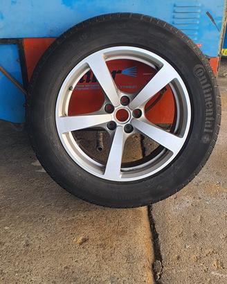 Gomme e Cerchioni