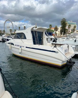 Rio 800 Cabin Fish