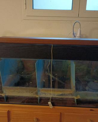 Acquario