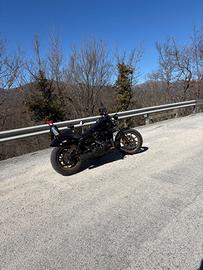 DYNA 1800 CVO STAGE 3  2017