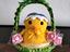 Immagine 1