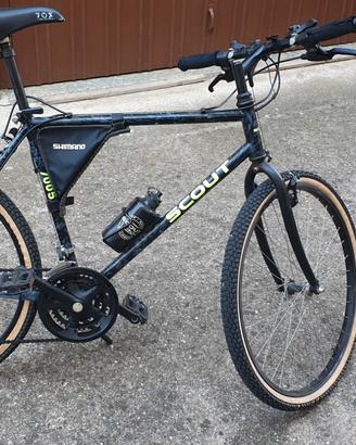 bicicletta