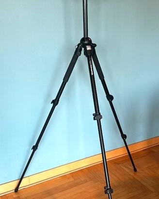 Cavalletto Manfrotto 190 PROB + testa  141 RC