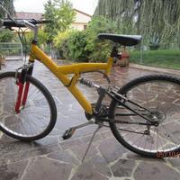 bicicletta mountain bike