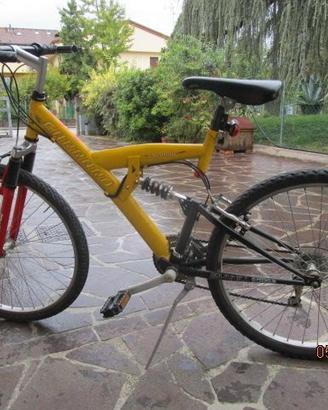 bicicletta mountain bike