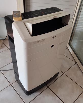 Condizionatore portatile 