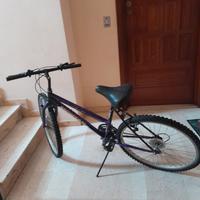 Mountain bike 